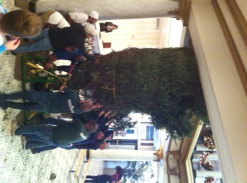 Capital Hotel Tree Delivery