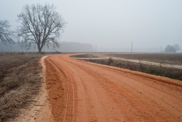 Susan Paulsen, Wilmot, 2011, photograph, courtesy of the artist 